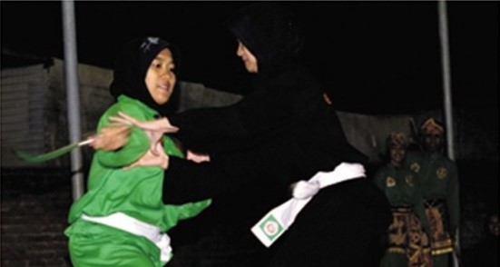 Pencak Silat