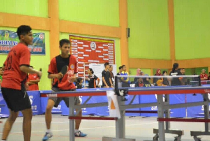 Tenis Meja